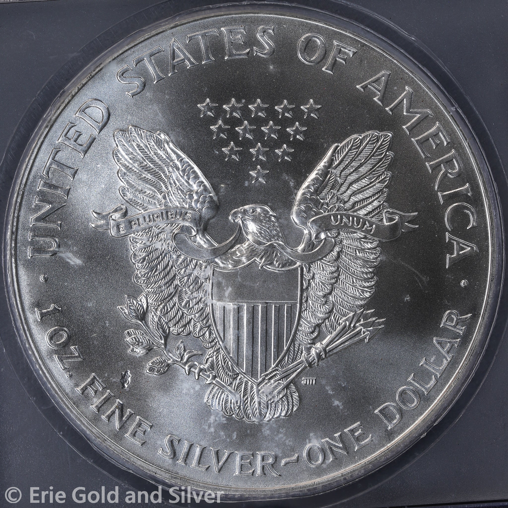 2001 $1 American Silver Eagle ICG MS 69 | Strike Thru Error