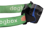 Dogbox XL Duet Rechargeable Head Lamp & Sensor Switch