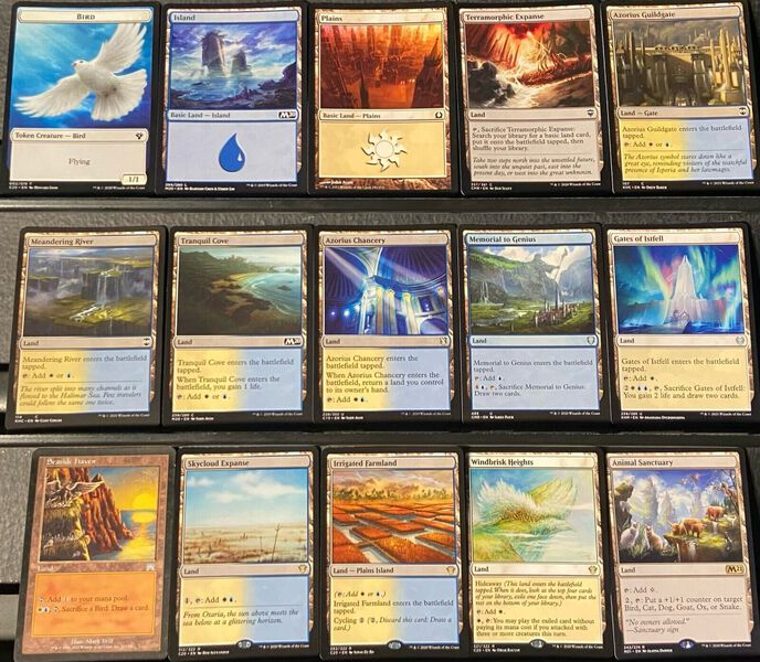 Custom Commander Deck*** Kangee, Aerie Keeper - Birds - EDH MTG