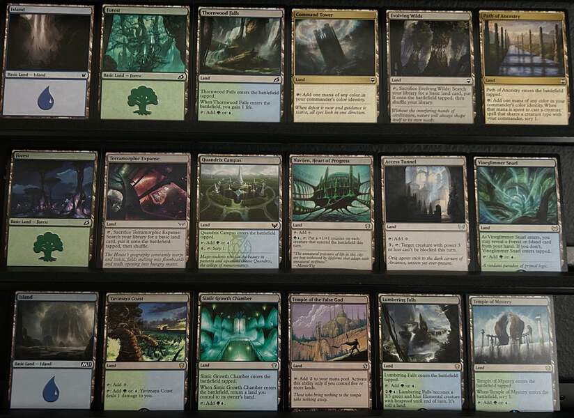 Mtg Vintage Lot Custom Frog Tribal Mill Commander Deck - Grolnok, The  Omnivore EDH (Magic: The Gathering) Mtg Cat Deck In Player-Built Magic: The  Gathering Decks