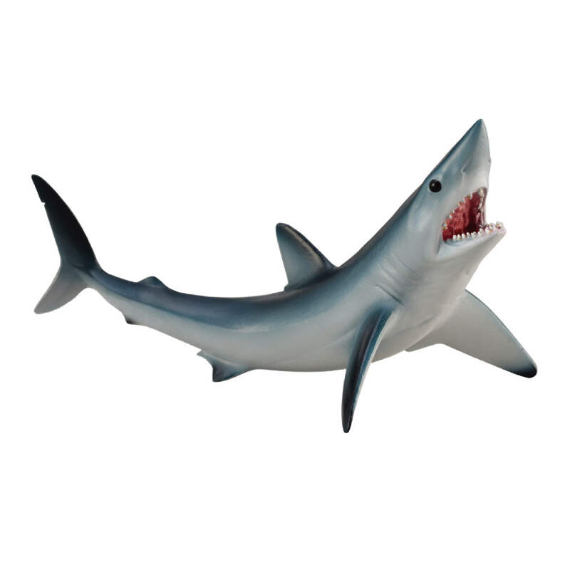 82165.png?width=800&etag=