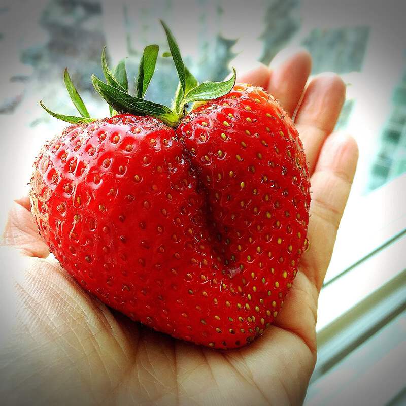1902.png?width=800&etag=