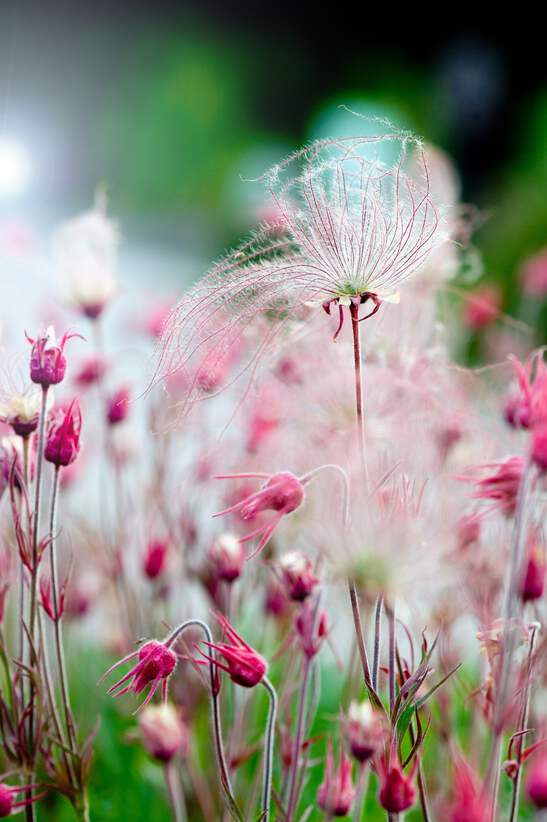 3025.png?width=547&etag=