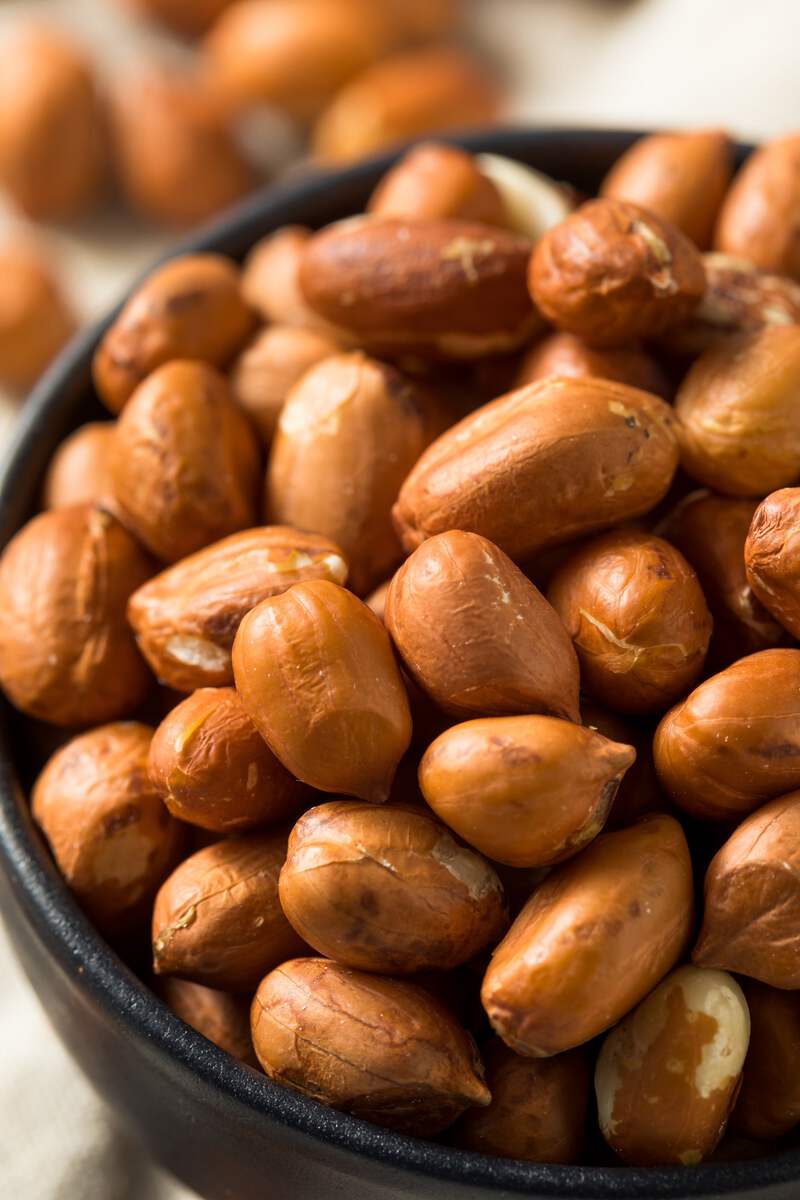 20 Seeds Early SPANISH PEANUT Arachis Hypogaea Perennial Nut Plant | eBay