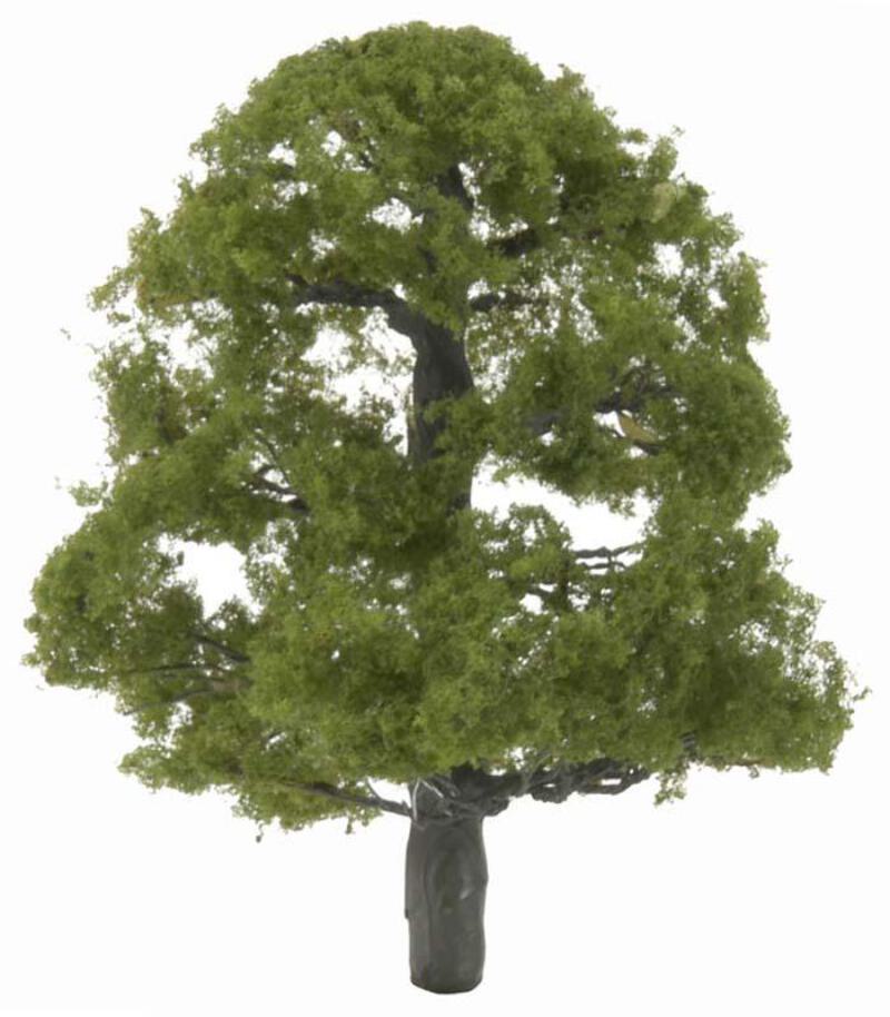 BAUM 8~9割残 WOODLAND WINDS Buy Green Mountain Boxwood - Single Trunk Topiary Tree