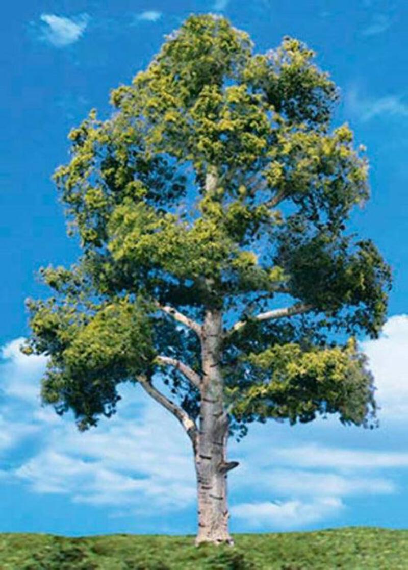 Woodland Scenics TR3534 N/HO Waters Edge Tree 3