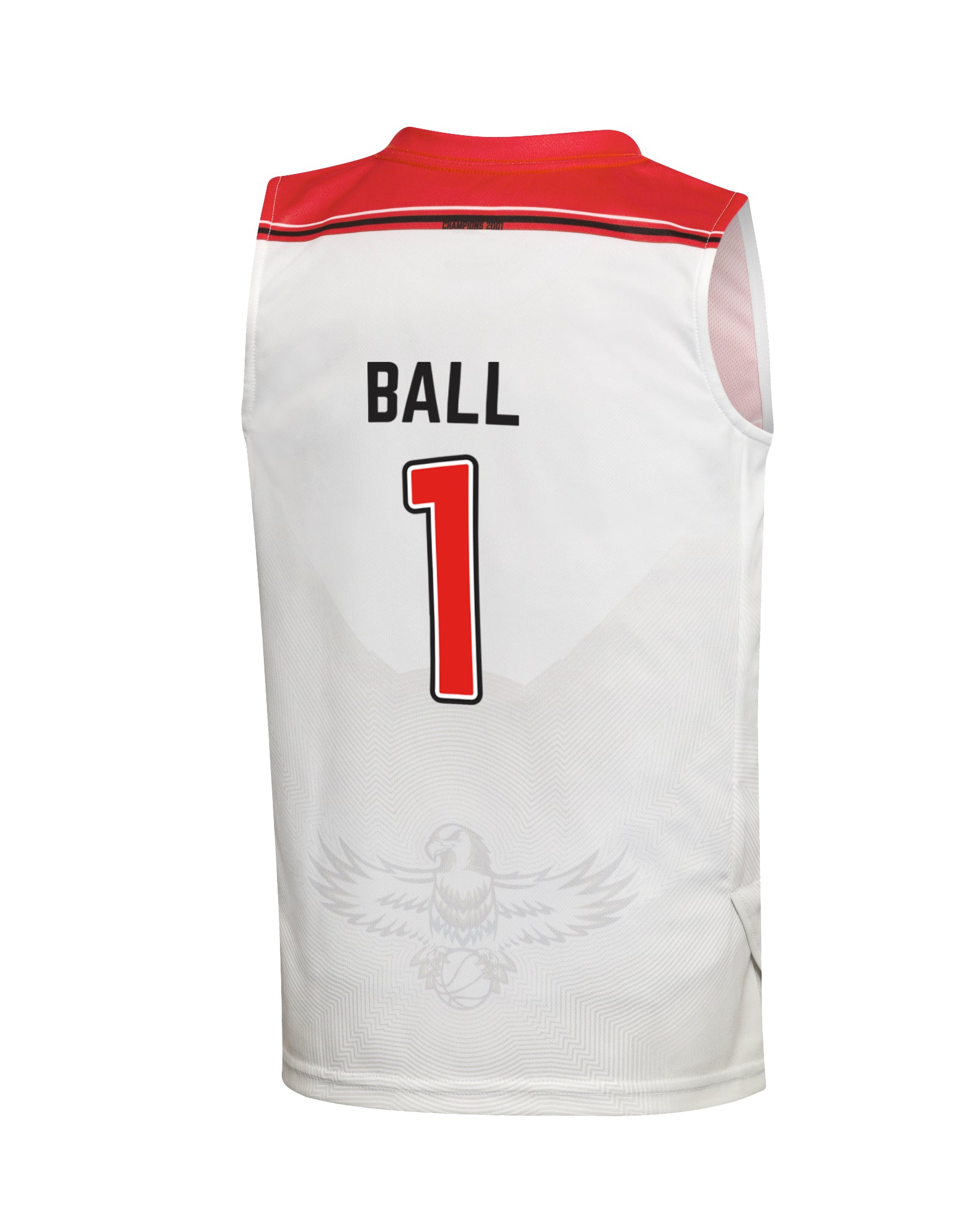illawarra hawks jersey