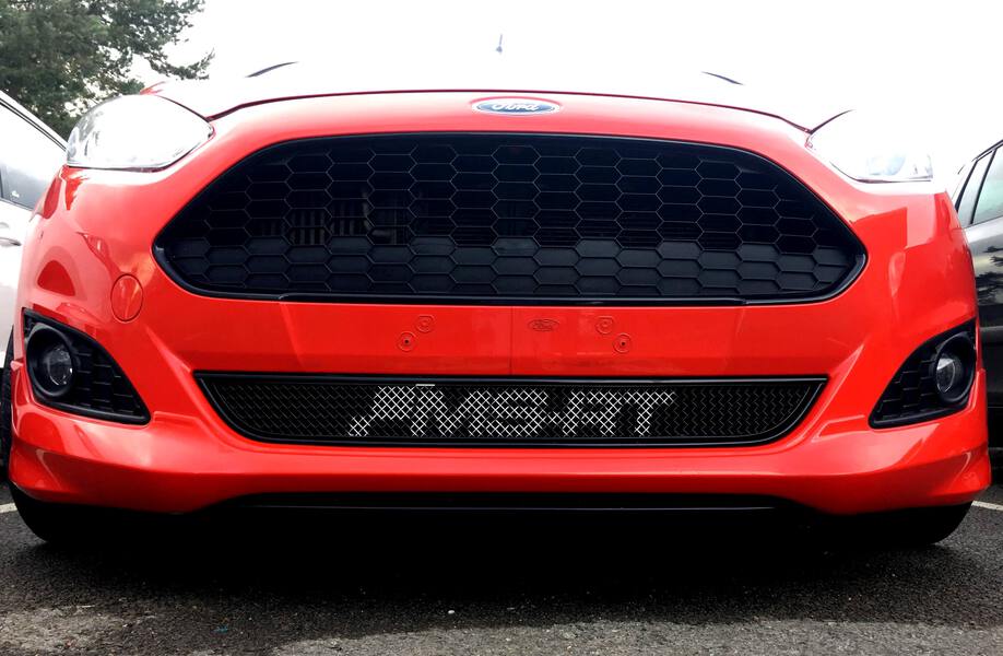 Ms Rt Lower Grille For Mk7 Ford Fiesta St Line Zetec S Ebay