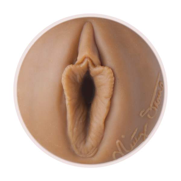 Fleshlight Girl Misty Stone male sex toy masturbator | eBay Australia