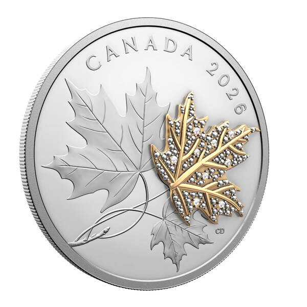 2026 $30 Precious Maple Leaves - Pure Silver Coin | eBay