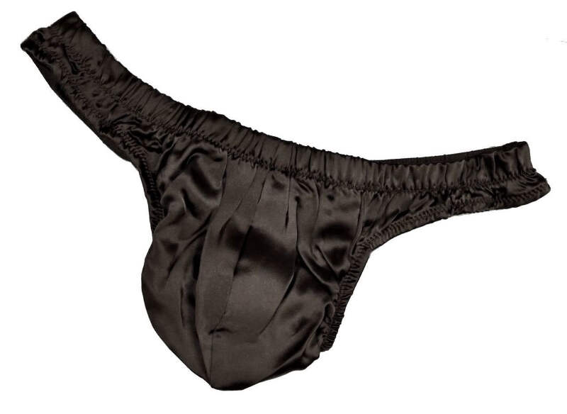 Mens Pure Silk Panties Satin String Bikini 100% Mulberry Silk Underwear for  Men Basic Briefs Tanga at  Men's Clothing store