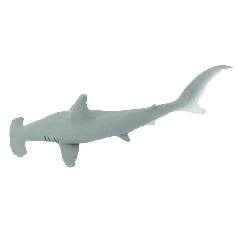 サニー　Shark Safari Ltd Hammerhead Shark, #SAF210702 | eBay