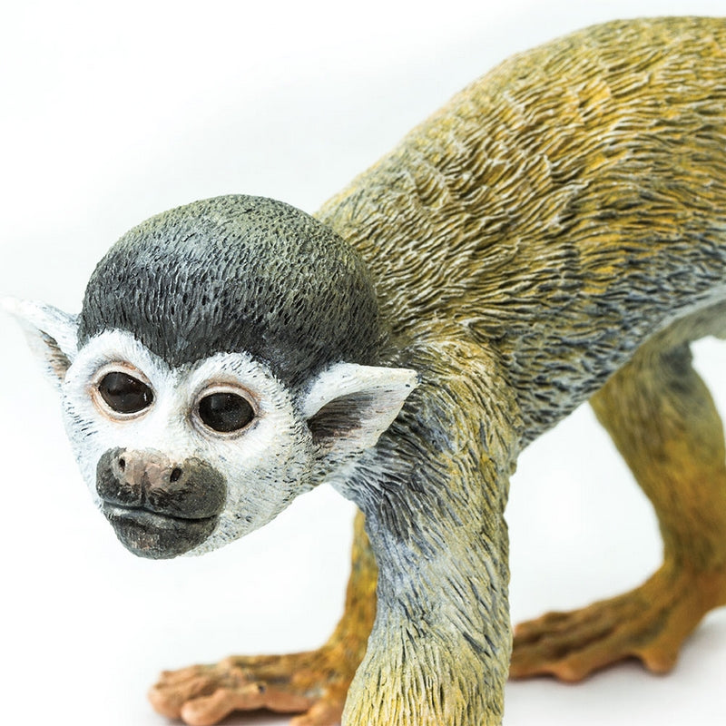 タマゴラス BEAR LION SQUIRREL plain message Safari Ltd Squirrel Monkey, #SAF269829 | eBay