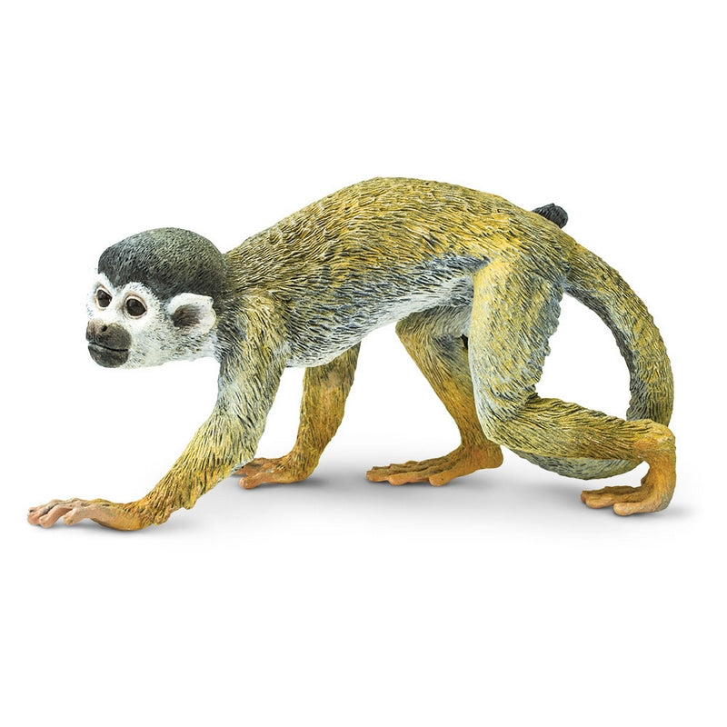 Safari Ltd Squirrel Monkey, #SAF269829 | eBay