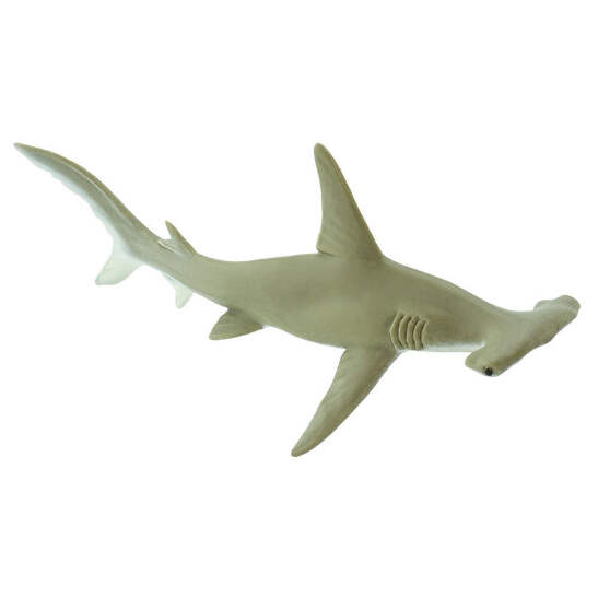 Safari Ltd Hammerhead Shark, #SAF274829 | eBay