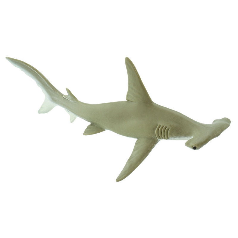 邦楽 Hammer Head Shark 10833_0.jpeg?etag=