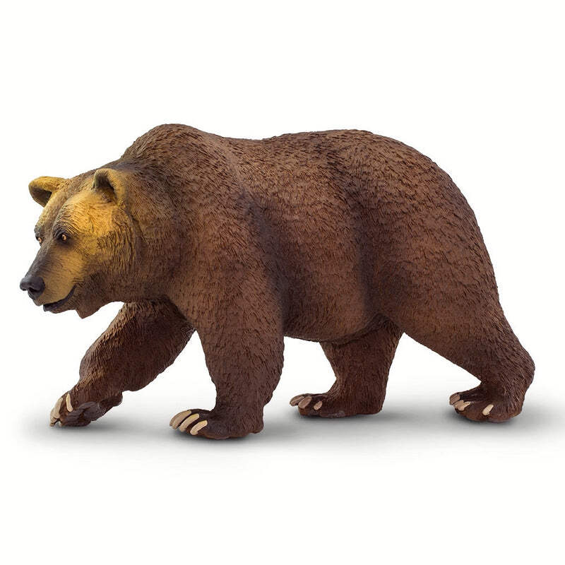 ★US限定 Grizzly Bear ポケット 【Diamond Supply】★ 11669.png?width=800&etag=