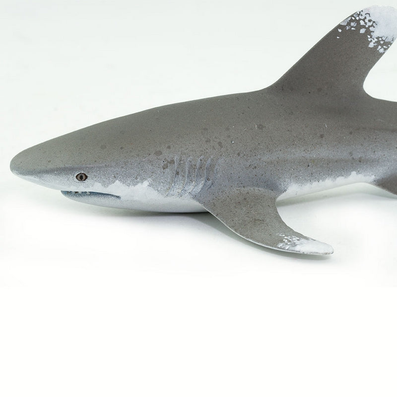 サニー　Shark Safari Ltd Ocean Whitetip Shark, #SAF100271 | eBay