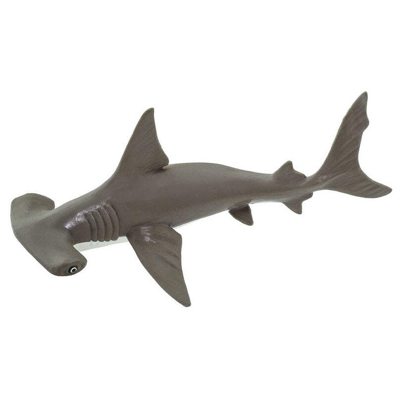 Hammer head shark ◾️Baby Youth Safari Ltd Hammerhead Shark Baby, #SAF267929 | eBay
