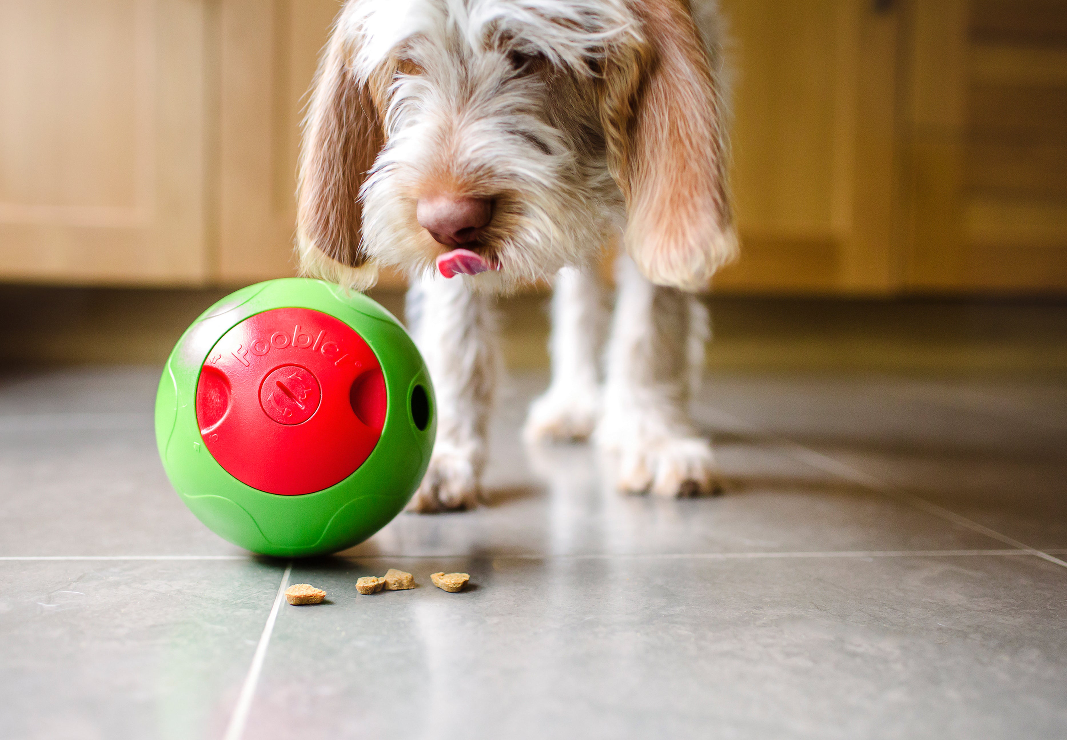 foobler treat dispenser