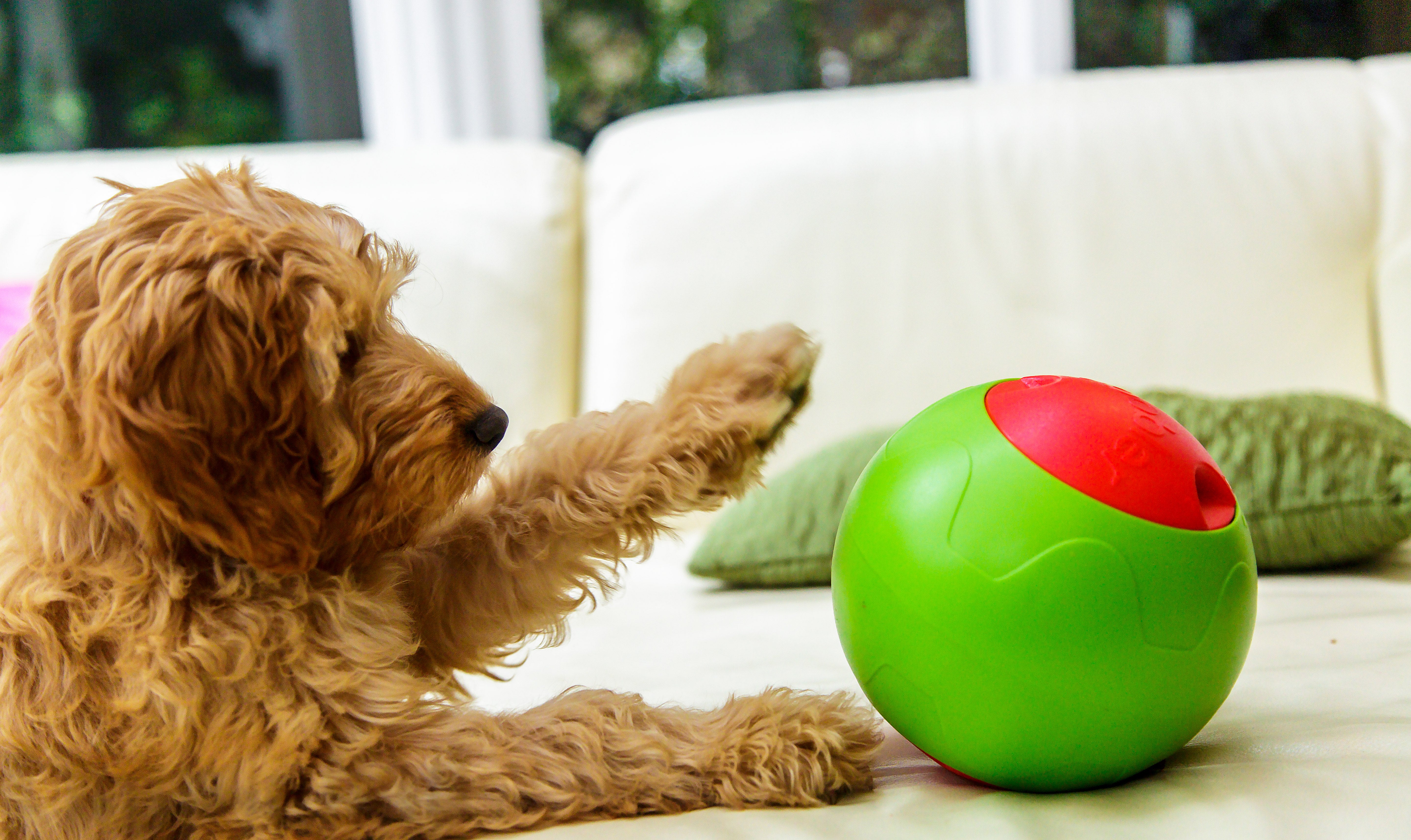foobler treat dispenser
