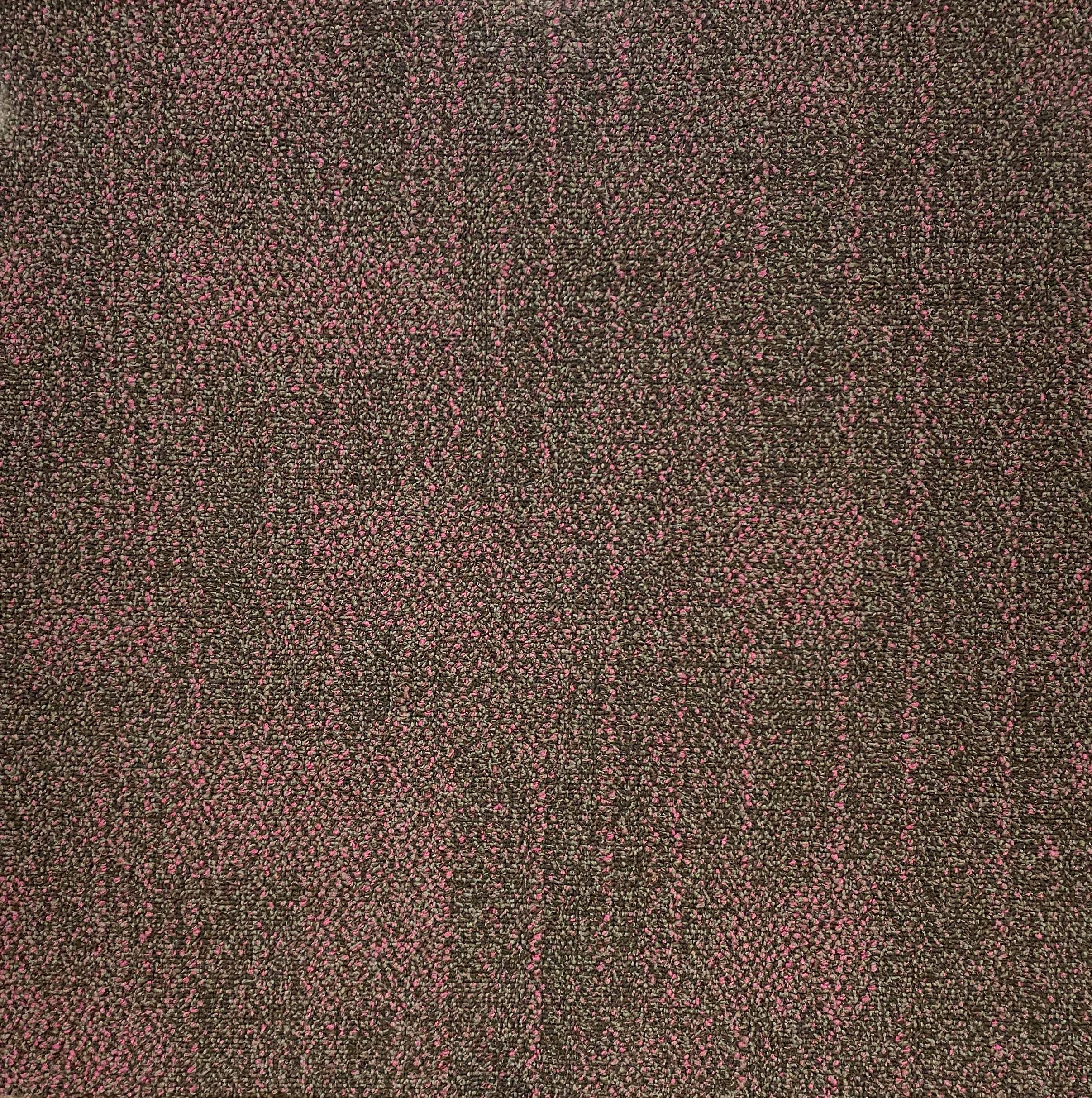 Shaw Fuschia Teppichfliese - 24""x 24"" (12 Fliesen/Häuser, 48 qm Fuß/Koffer) - Bild 1 von 2