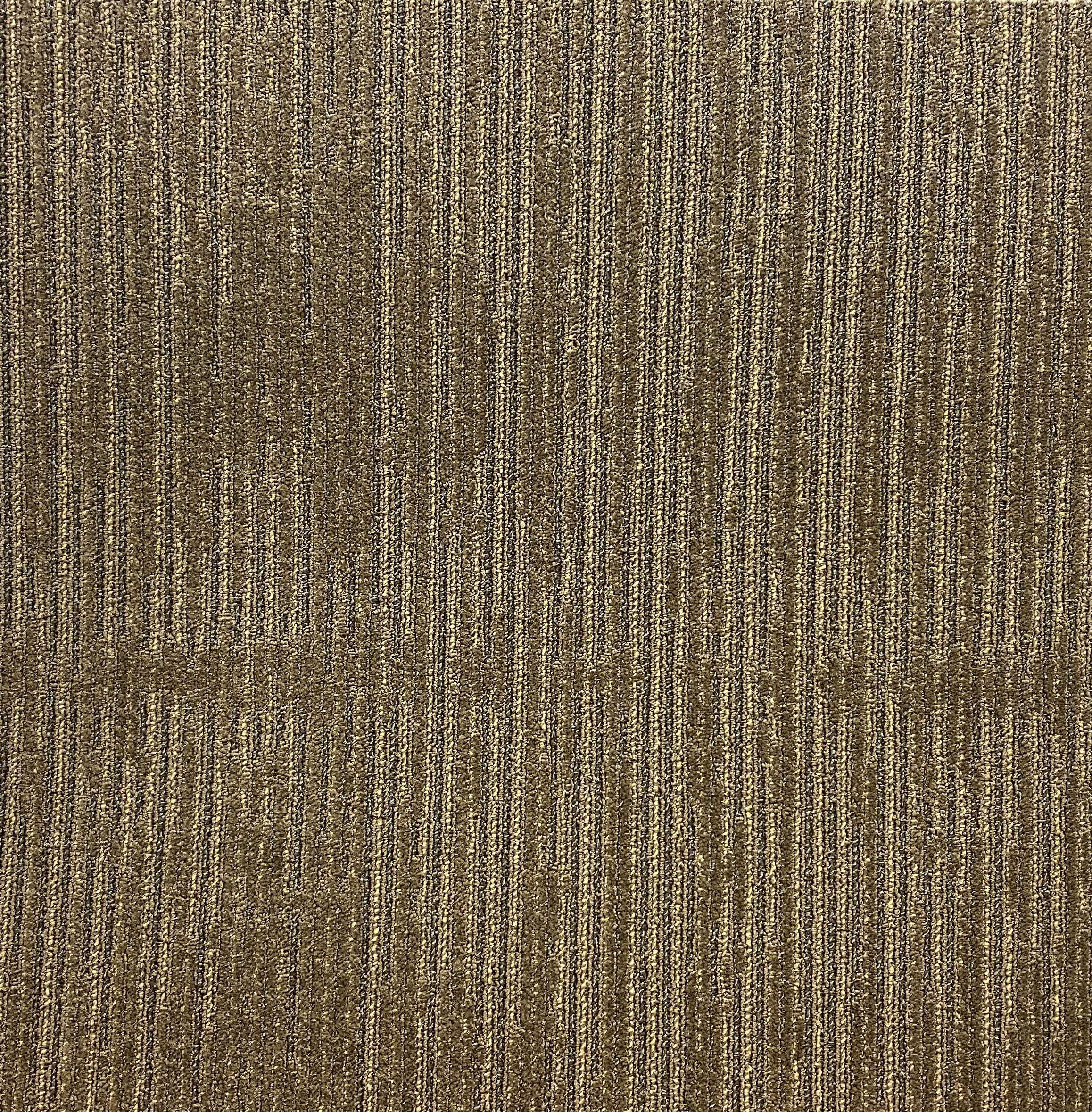 Shaw Sage Carpet Tile-24"x 24"(12 Tiles/case, 48 sq. ft./case) - Picture 1 of 3