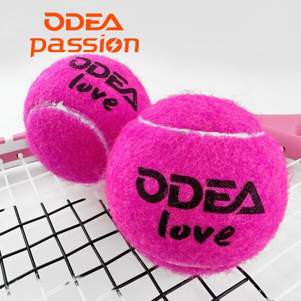 ODEA Love Pink Gift Tennis Balls ( 2pcs/Can) | eBay Australia