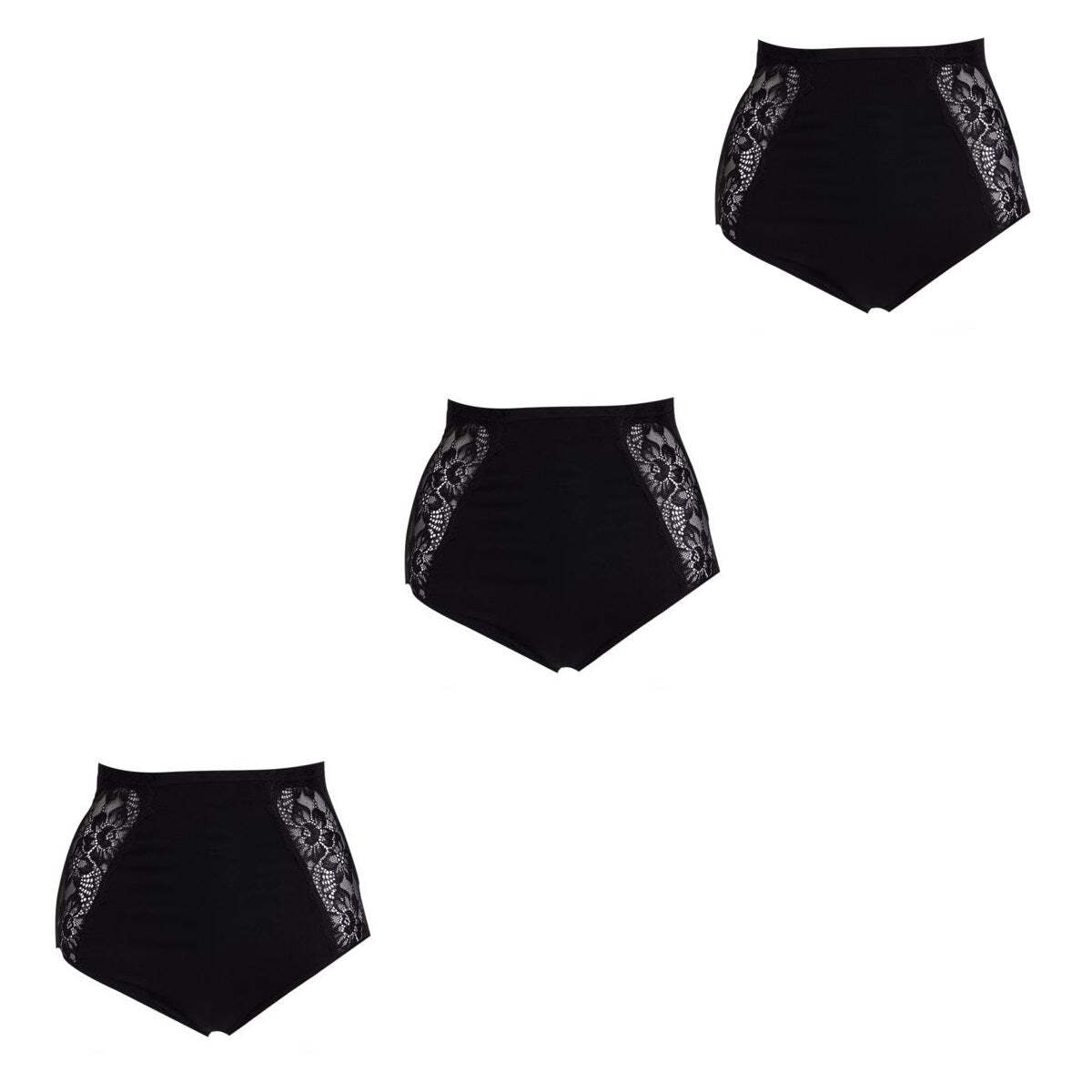 Rhonda Shear Seamless Lace Brief 3-pack 605377-J - Picture 87 of 88