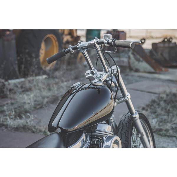 Lowbrow Customs WX Split Gas Tank 36-84 Harley Panhead Shovelhead